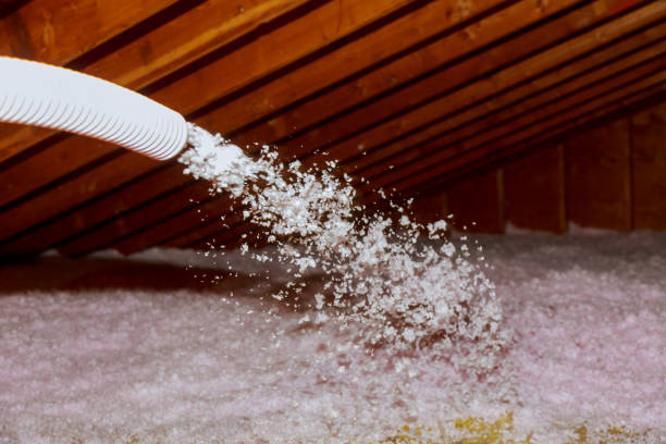 Best Commercial Insulation in Bayou Blue, LA