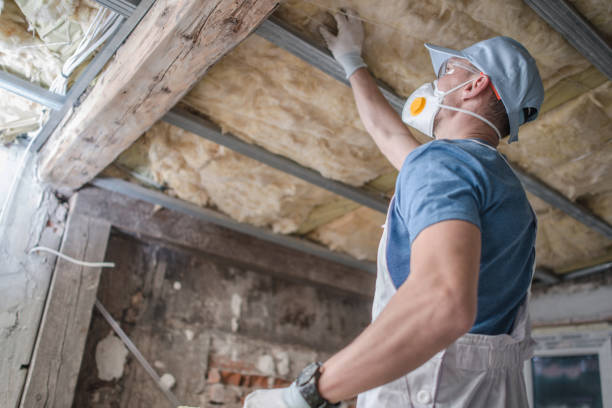 Best Blown-in Insulation in Bayou Blue, LA