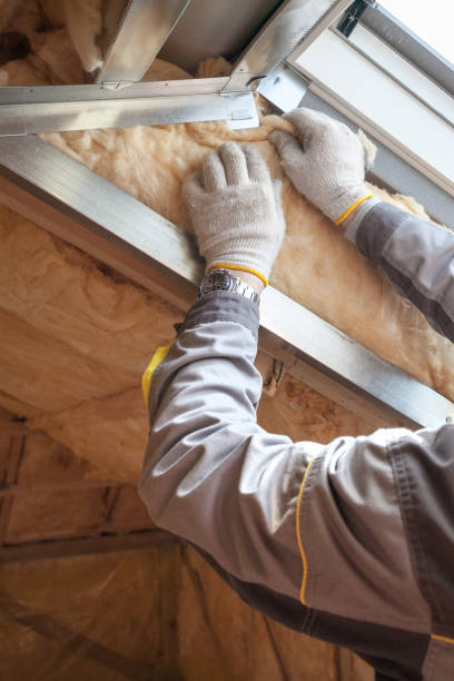 Trusted Bayou Blue, LA Insulation Contractor Experts