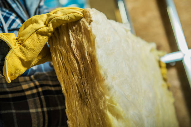 Best Cellulose Insulation in Bayou Blue, LA